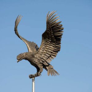 Pekan kotka nähty Vihattulassa