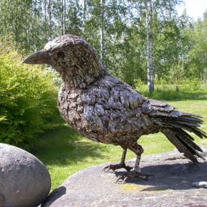 Varis on oikea karkkulainen