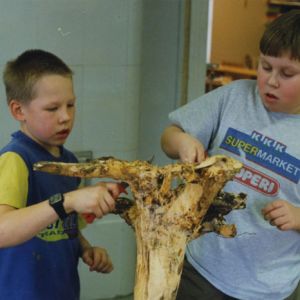 veistotaide on musiikkia